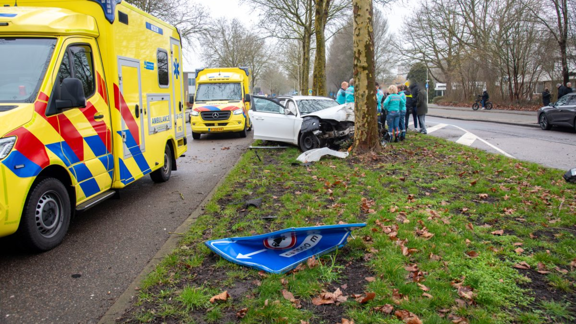 De auto raakte een verkeersbord en botste tegen een boom.