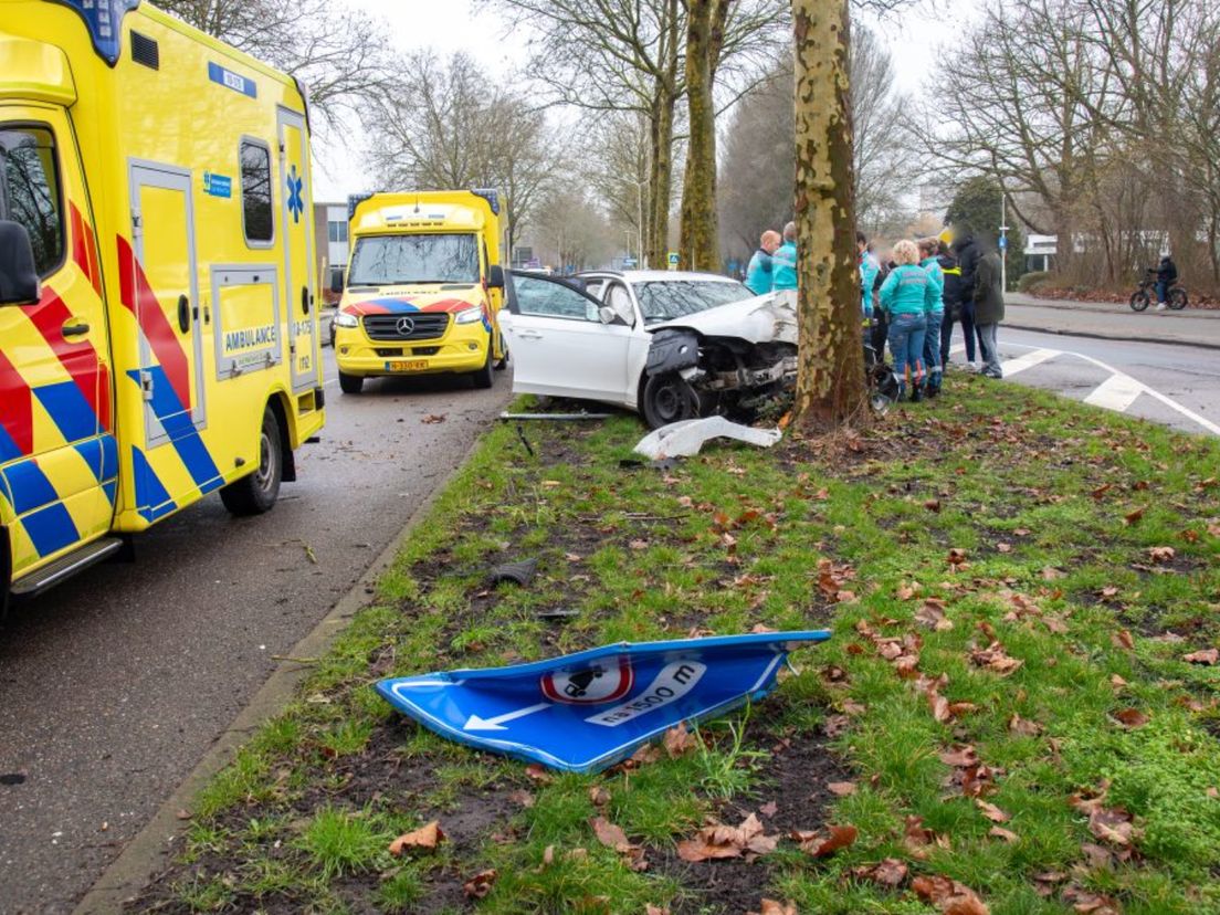 De auto raakte een verkeersbord en botste tegen een boom.