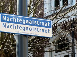 Nachtegaalstraat wordt Nâchtegaolstraot: hoe goed kunnen Utrechters zelf eigenlijk Utregs?