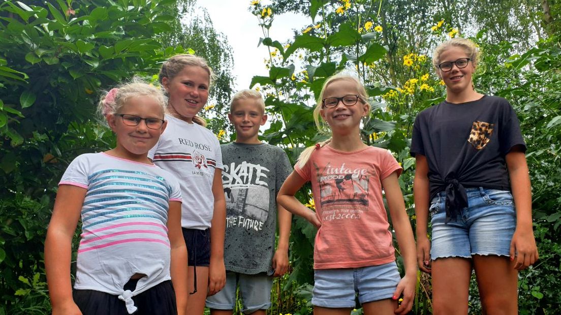 Vijf leerlingen van De Hoeksteen komen hun oogst bekijken (Rechten: RTV Drenthe/Dylan de Lange)