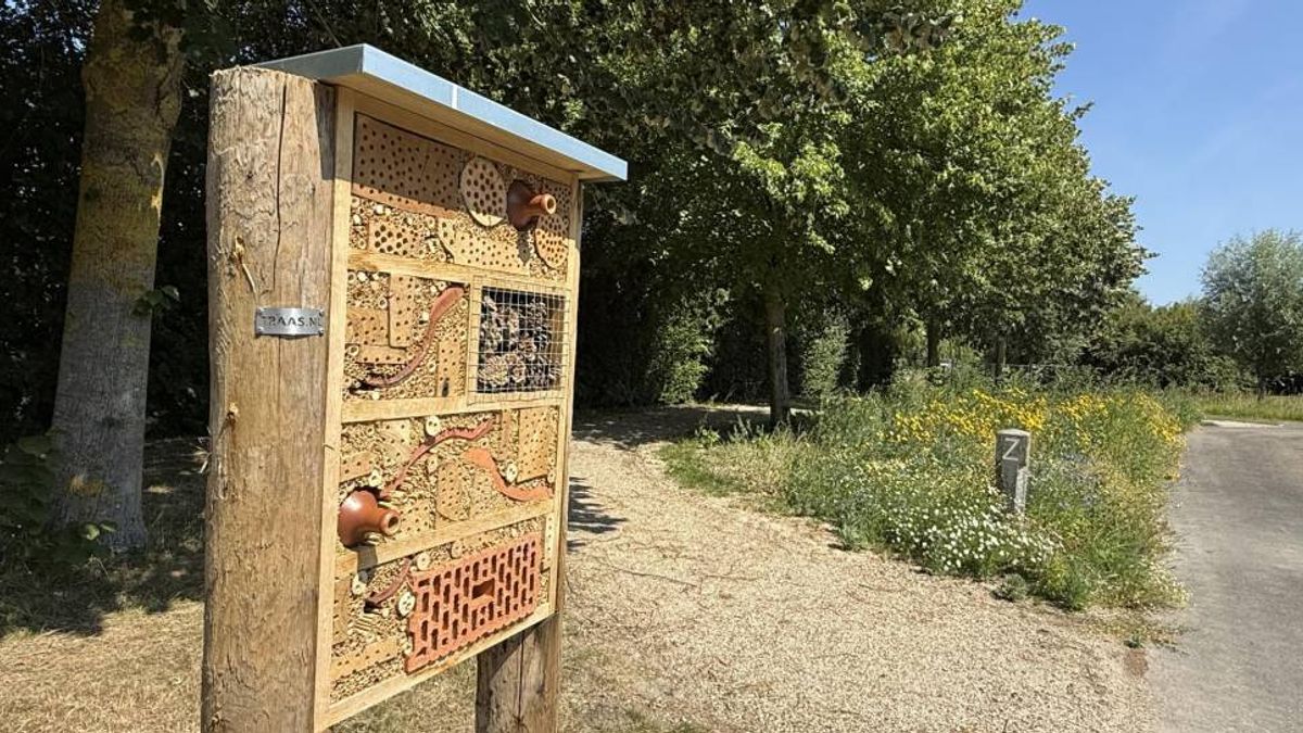 Colijnsplaat krijgt natuurbegraafplaats voor mensen met speciale band met Noord-Beveland