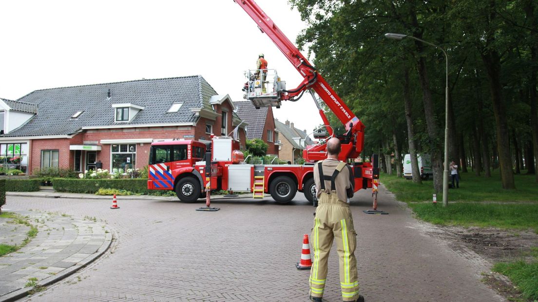 De weg werd even afgesloten zodat de brandweer goed bij de boom met kat kon komen