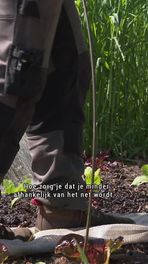 Zelfvoorzienend leven