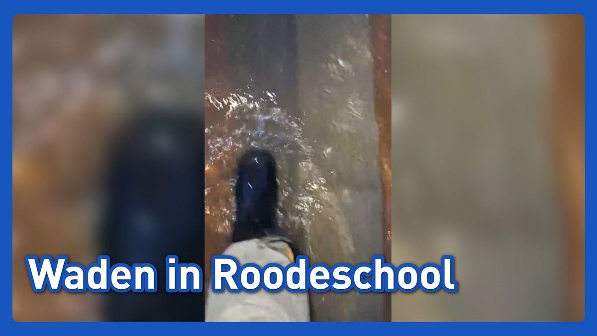 Waden na een stortbui in Roodeschool