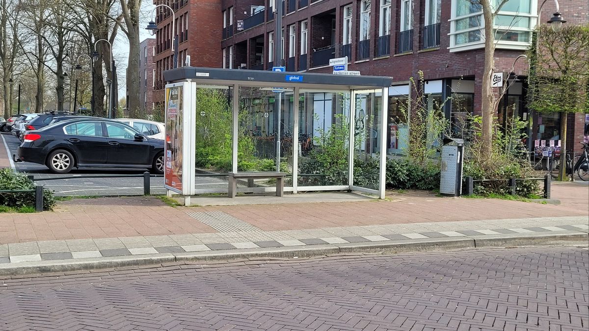 Wat doet spookbushokje nog in winkelstraat?