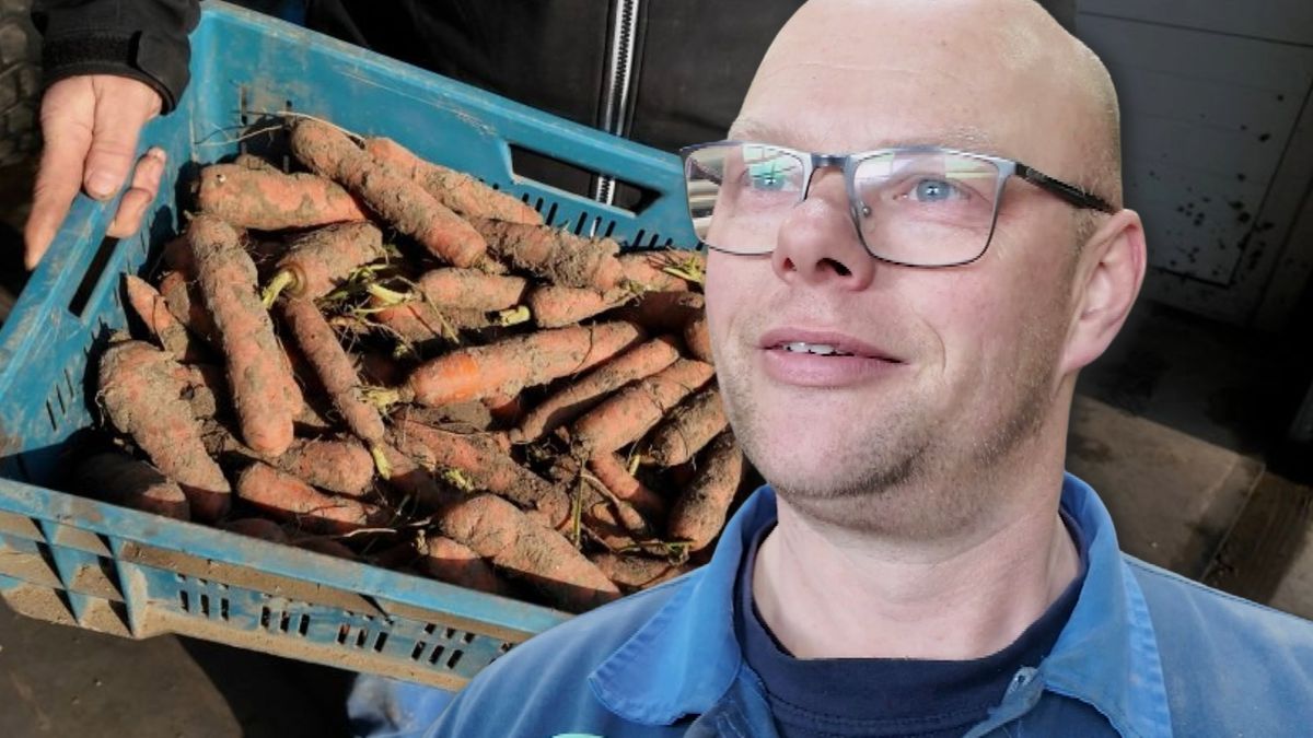 Uit het hele land komen mensen om Brams wortels te kopen: Oos Kesbeke koopt een ton