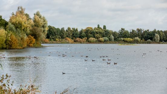 De Bilt krijgt een nieuw stuk bos, maar je mag er voorlopig niet komen Home