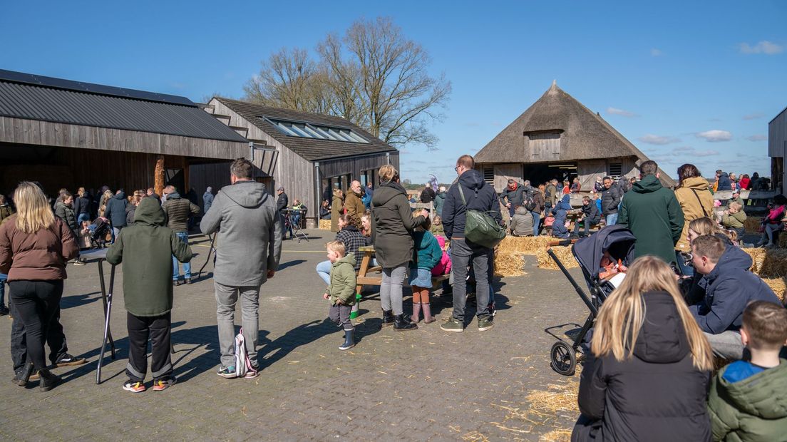 Lammetjesdag in Ruinen