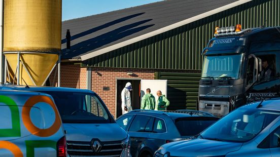 Vogelgrieprisico fors gestegen, ministerie geeft waarschuwing