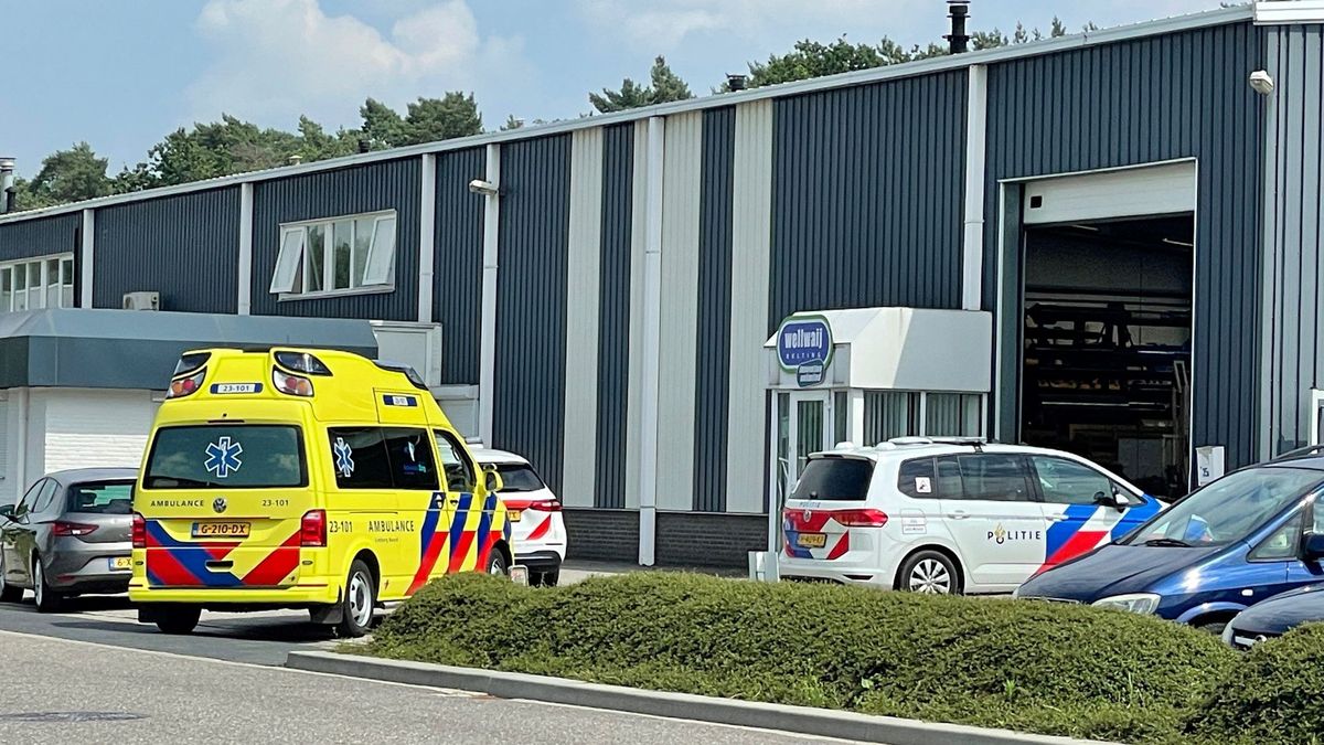 Medewerker bedrijf Herkenbosch steekt collega neer