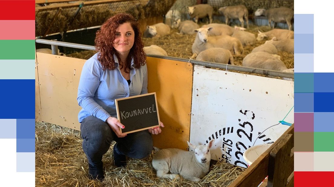 Janneke Swaving heeft het woord kounavvel genomineerd.