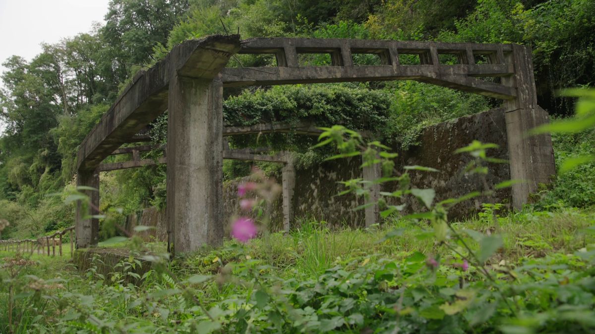 Natuur en Zo TV: Bonsdalgroeve