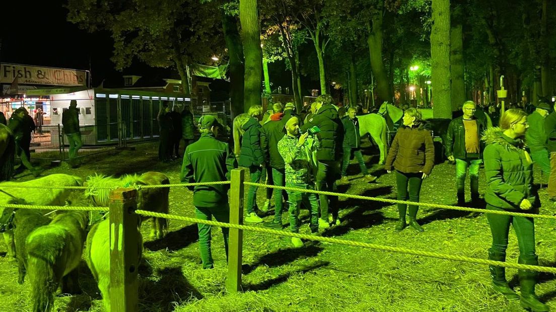 Handelaren wandelen tussen de paarden