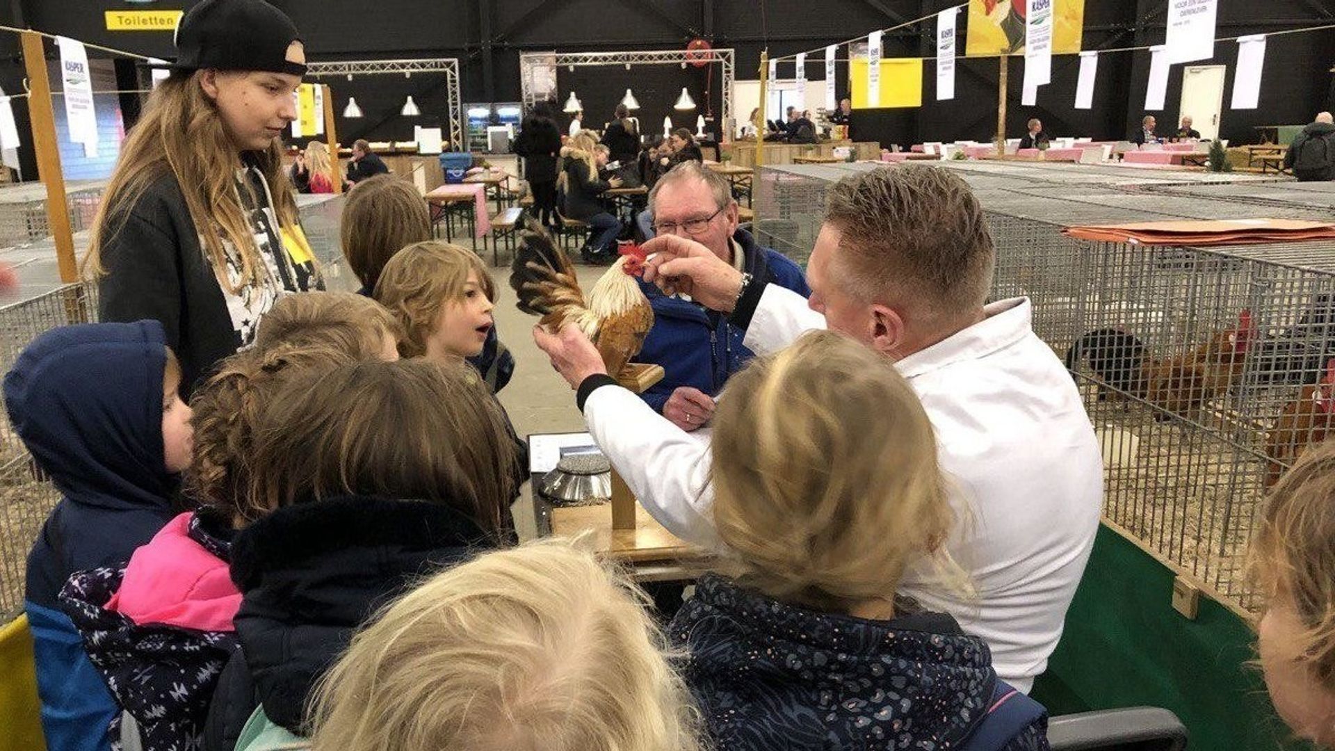 Kinderen Krijgen Les Op Noordshow: 'Een Huisdier Is Leuk, Maar Heeft ...