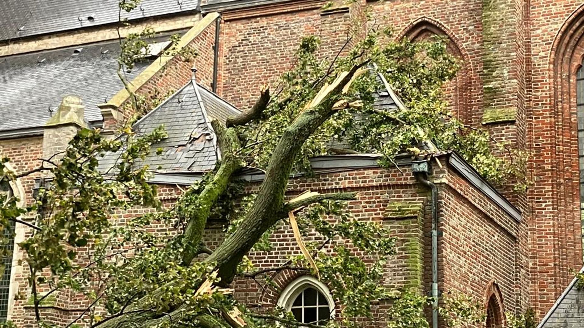 LEES TERUG: Zo Raasde Storm Ciarán Over Zeeland - Omroep Zeeland