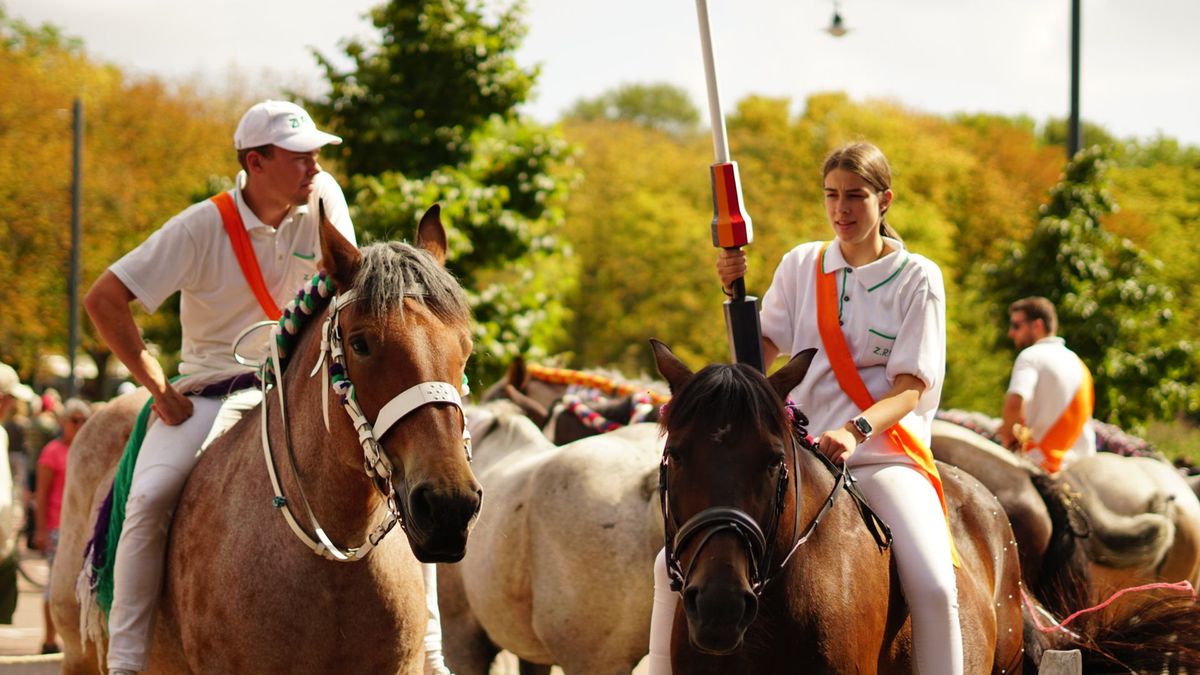 Zeeuws Kampioenschap Ringrijden: 'Dit zijn trekkers van formaat'
