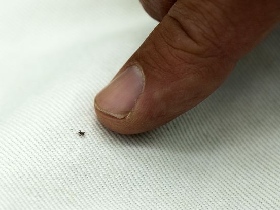 Teken in tuinen rukken op: 'Doe een tekencheck'
