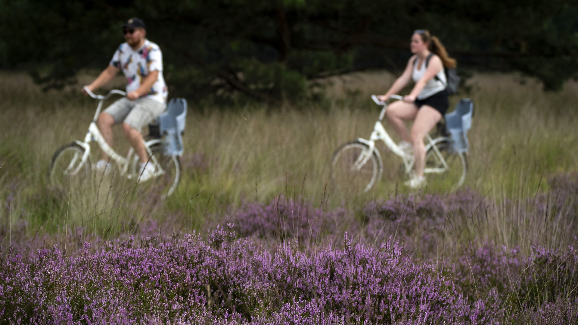 Geen uitzonderingen meer voor gehandicapten op prijs entreekaartje Hoge Veluwe