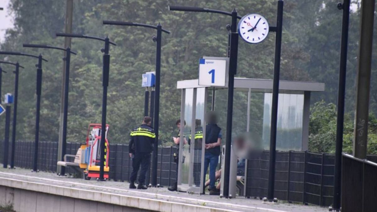 Politie houdt man aan op station in Rilland die conducteur bespoten zou hebben met rode vloeistof