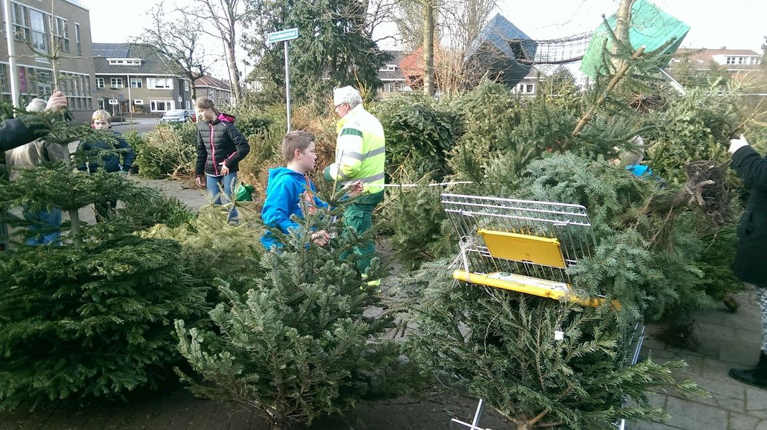 Kinderen met de kerstbomen