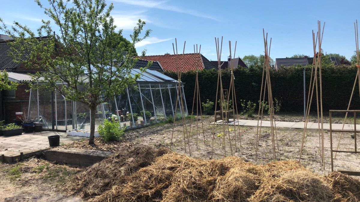 Angstcultuur bij zorgboerderij Oldenbosch in Holwierde: 'Overal hangen camera's' (update)