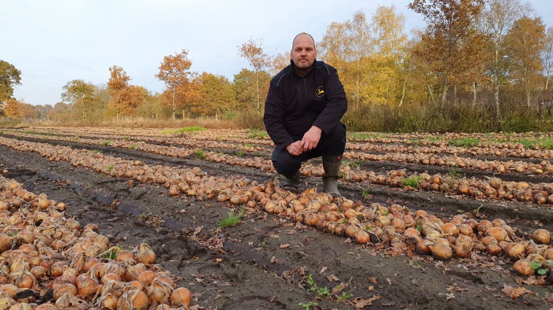 Henry Woltinge geeft zijn uien gratis weg. (Rechten: Jasmijn Wijnbergen/RTV Drenthe)