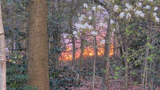 Brand in bosgebied, politie vermoedt brandstichting