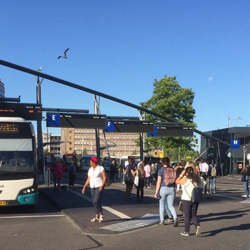 Extra Bussen Tussen Leiden En Den Haag Vanwege Marathon Rotterdam