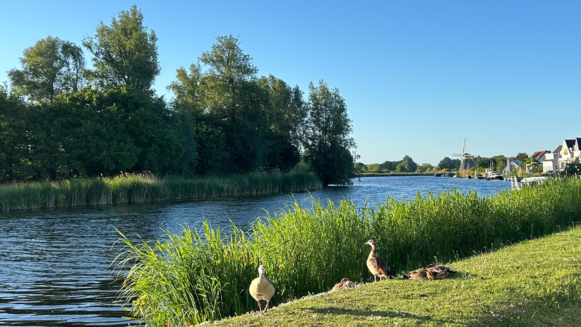 Vandaag is het warm en heel zonnig.