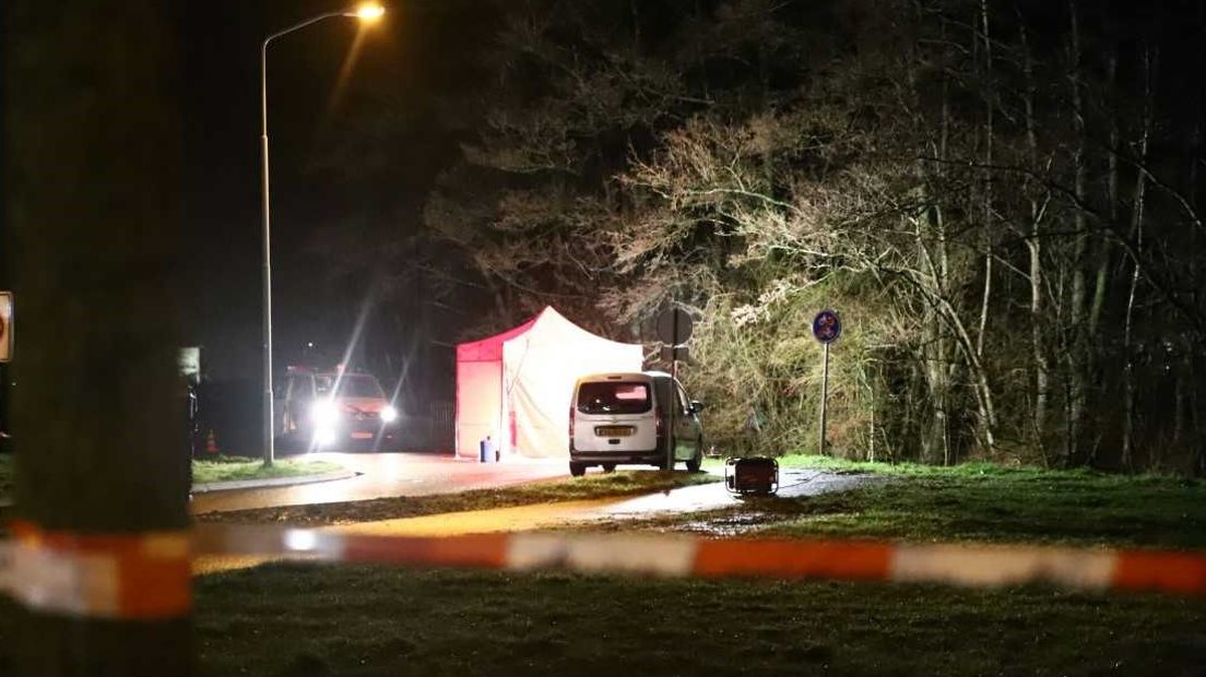 Bij een steekincident op de Meersteeg in Geldermalsen is zondag een 36-jarige inwoner van Beneden-Leeuwen om het leven gekomen. Dat meldt de politie.
