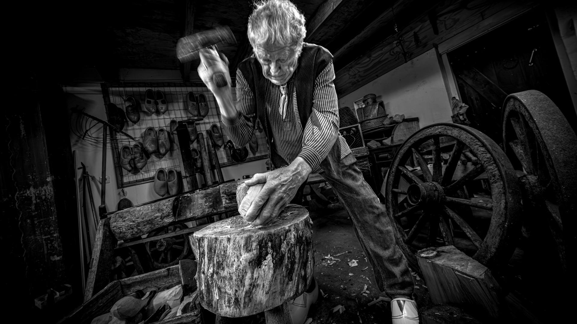 Fotoproject Paradijsvogels komende zomer te zien
