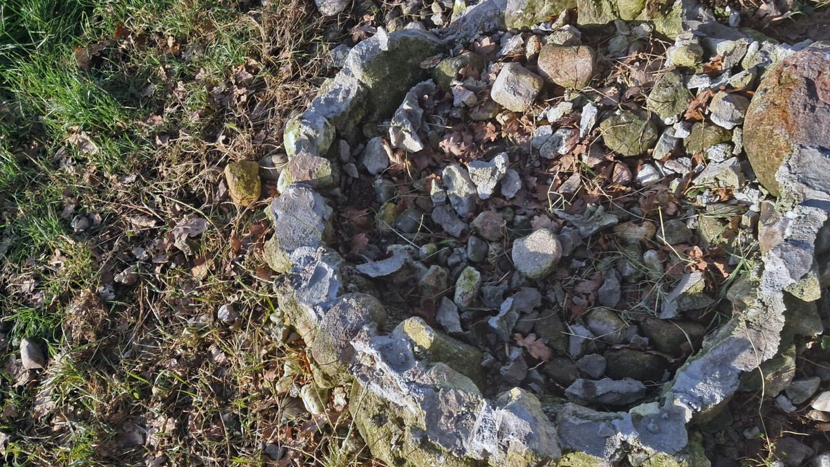 Wensput Twijzelerheide vernield, schade duizenden euro's | Botsing leidt tot file op A7