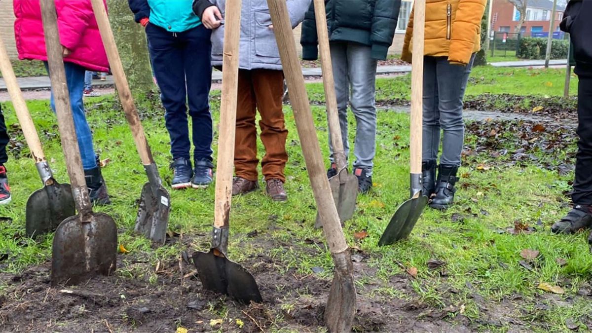 Les in de buitenlucht: tiny forest in Roderwolde
