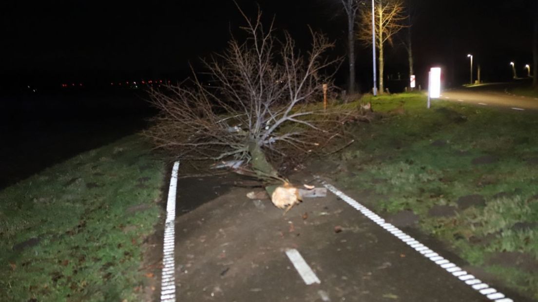 Een boom werd geraakt door een auto in Vledderveen
