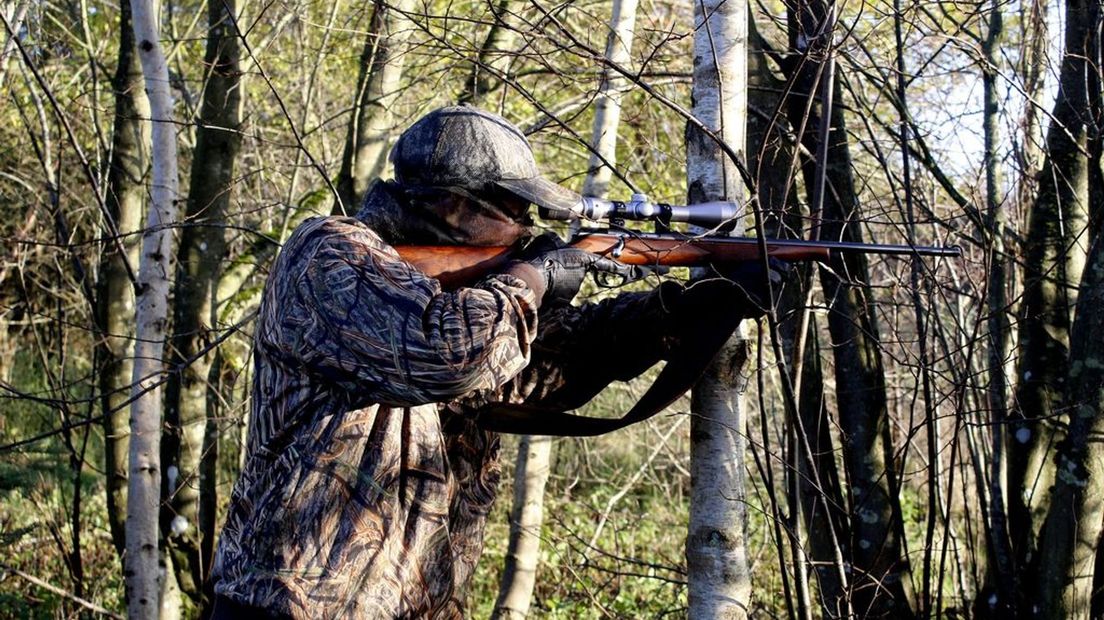 De Faunabescherming en Partij voor de Dieren zien enorme afschot op de Veluwe helemaal niet zitten.