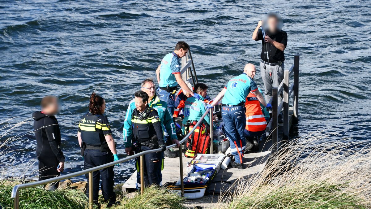 Duiker (54) overleden bij Wolphaartsdijk