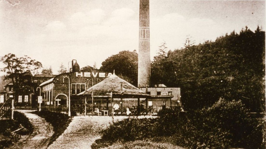 De Heveafabriek gezien vanaf de Rijn