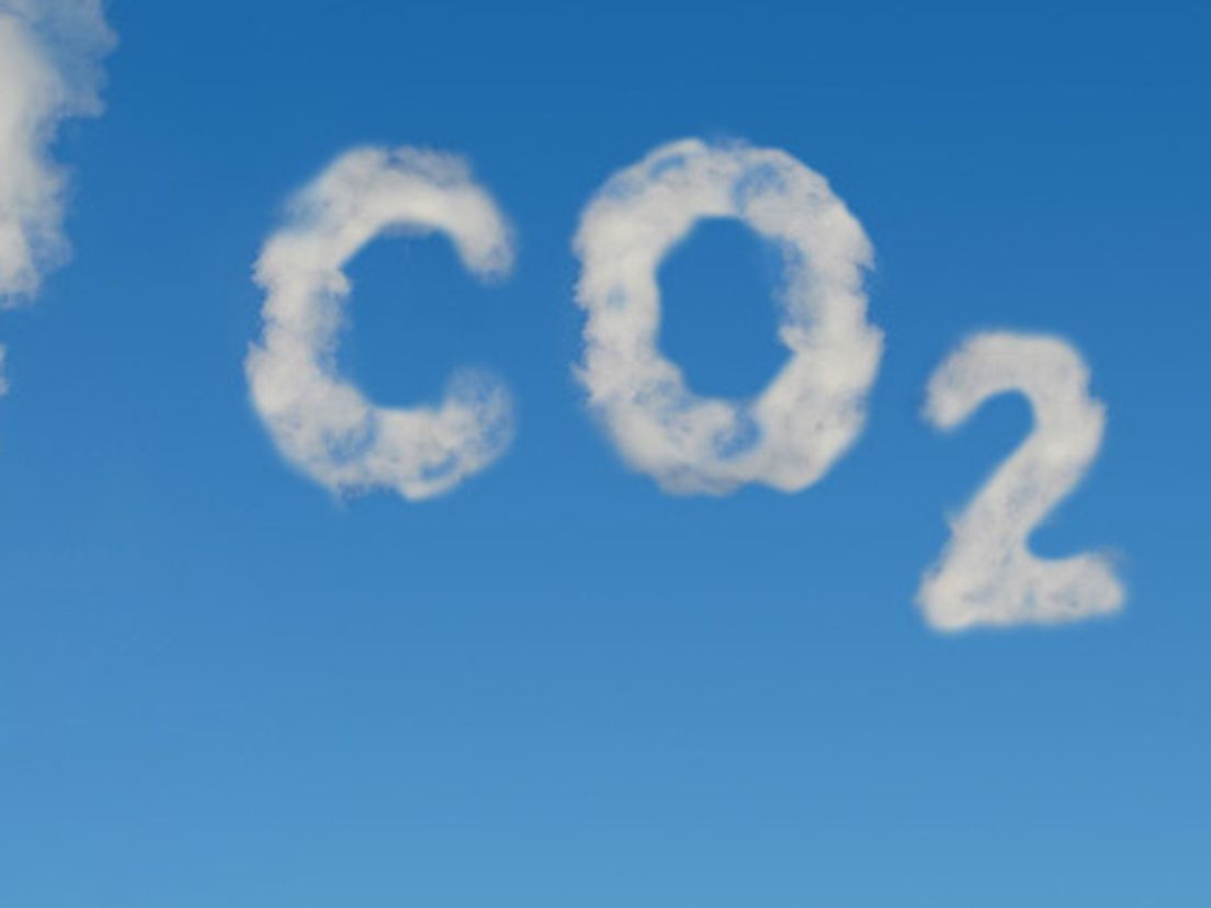 co2.cropresize.1.jpg