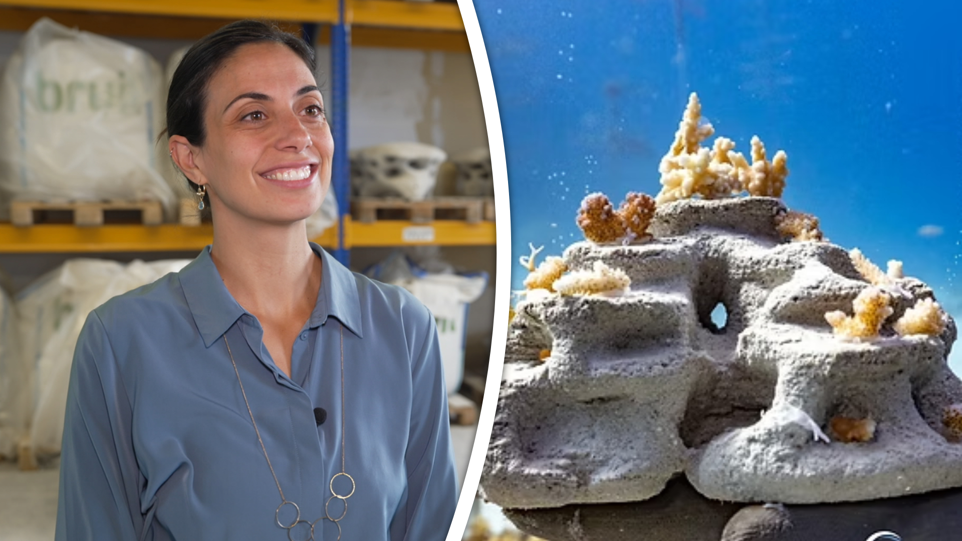 Het bedrijf van Nadia Fani maakt kunstmatige riffen met een enorme 3D-printer