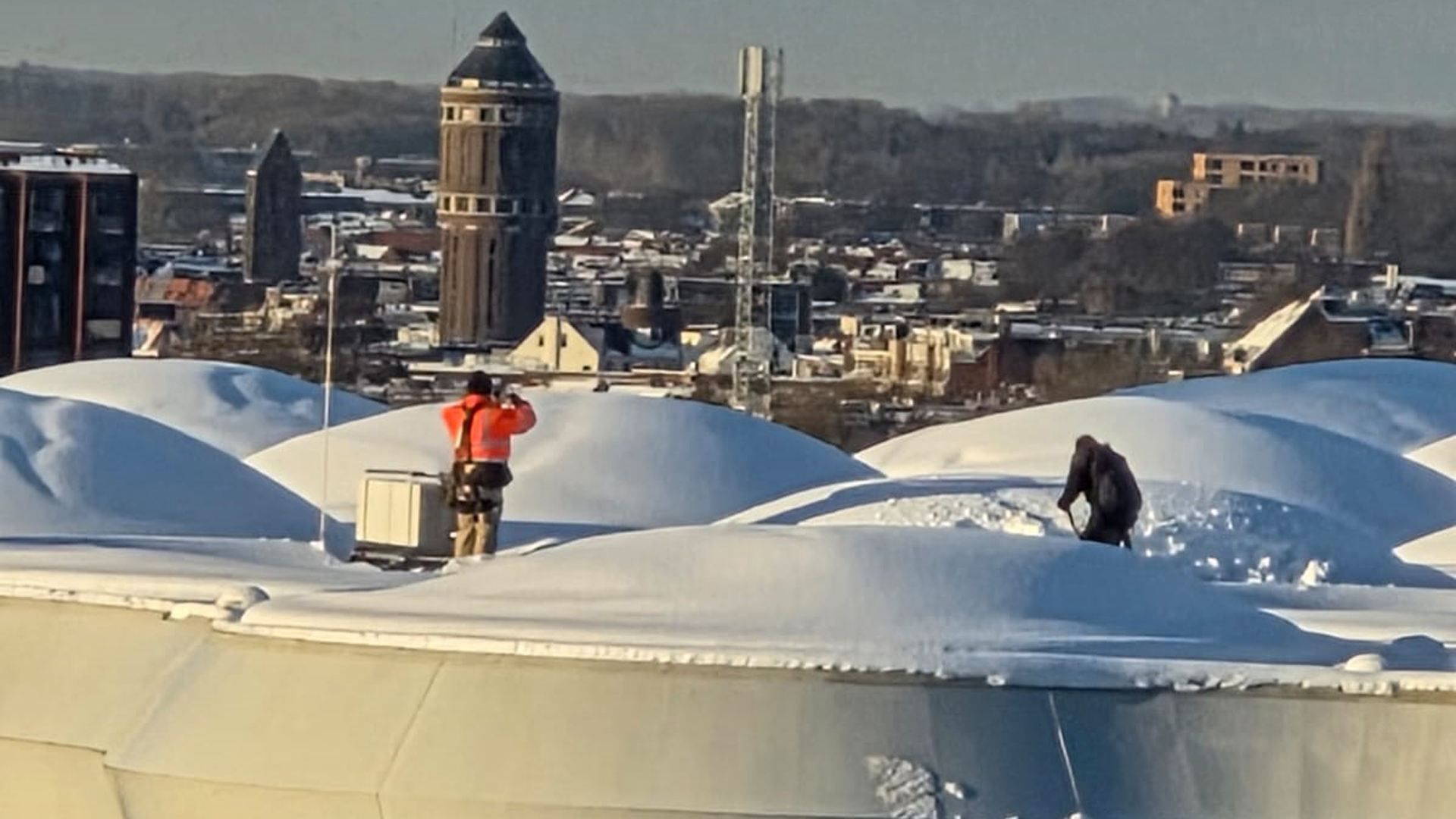 Sneeuwscheppen op het Bollendak