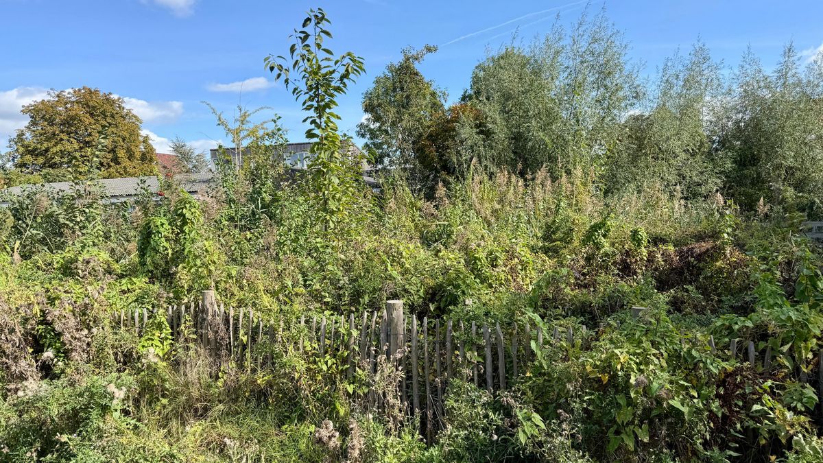 Bewoners nieuwe villa's moesten meebetalen voor groen, maar nu ligt omgeving er verloederd bij