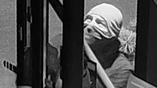 Stihl-kettingzagen in een paar seconden gejat