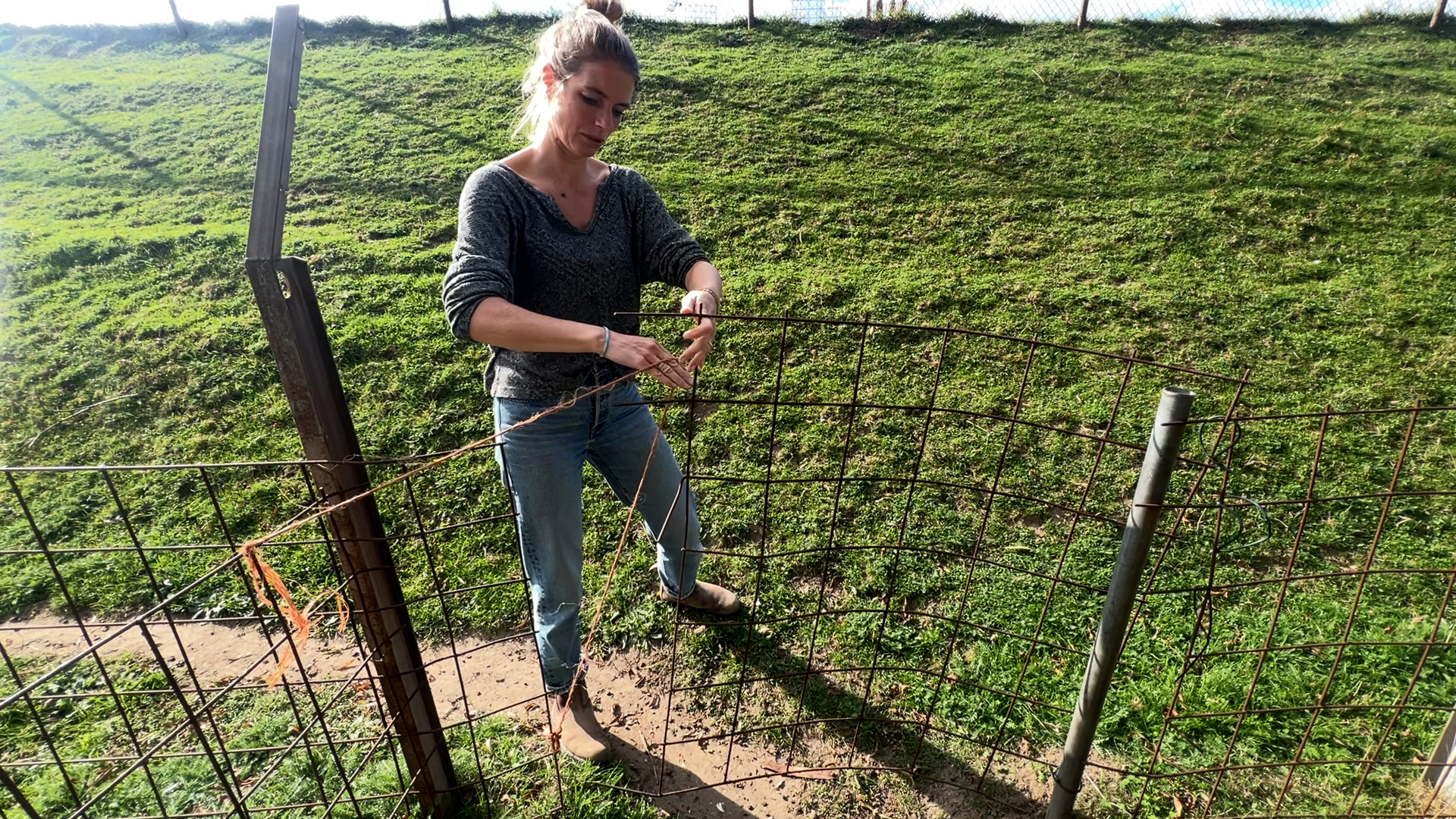 Vrijwilliger Fenneke bij een krakkemikkig hek