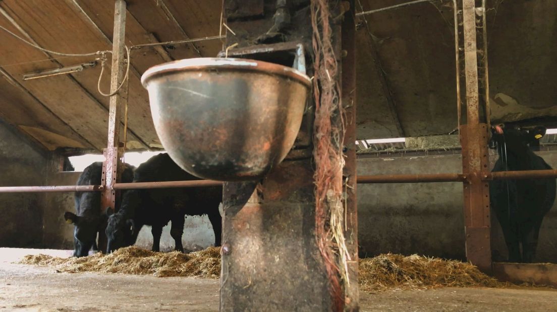 De inkomensverschillen onder boeren zijn groot