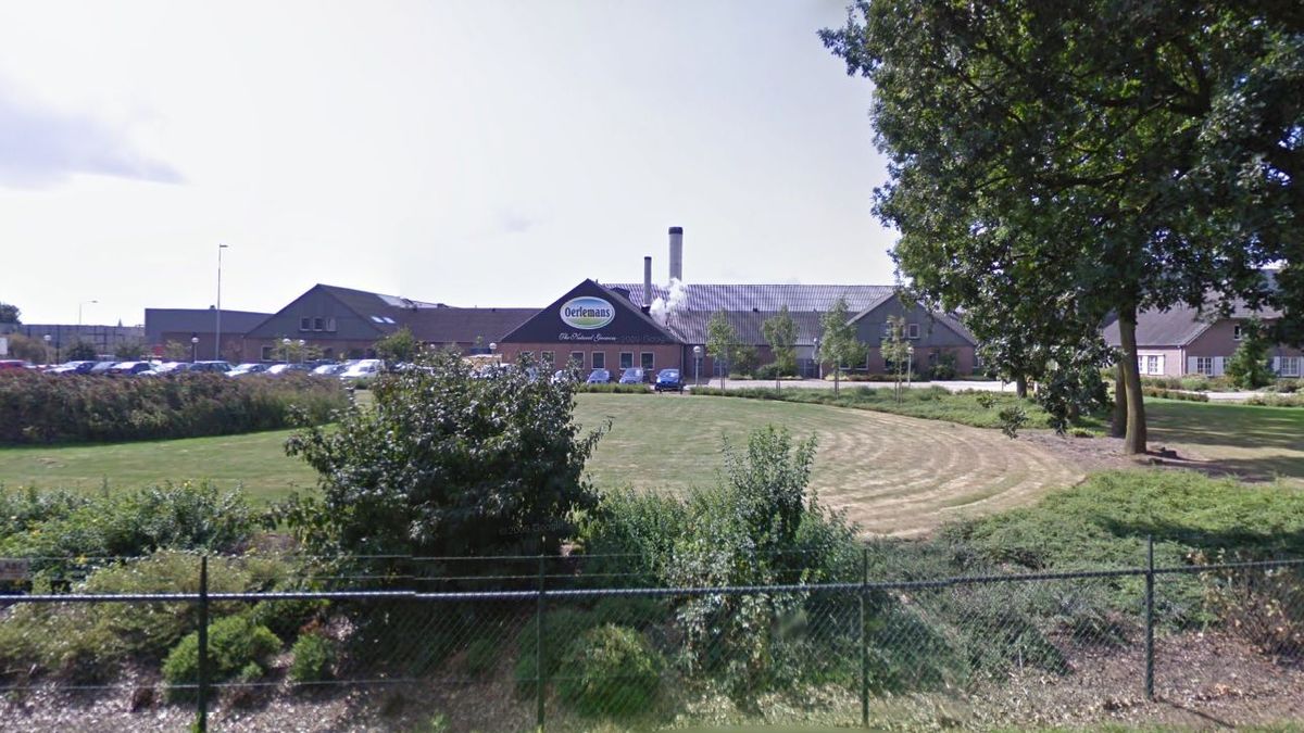 Oerlemans verkoopt aardappelfabriek in Broekhuizenvorst