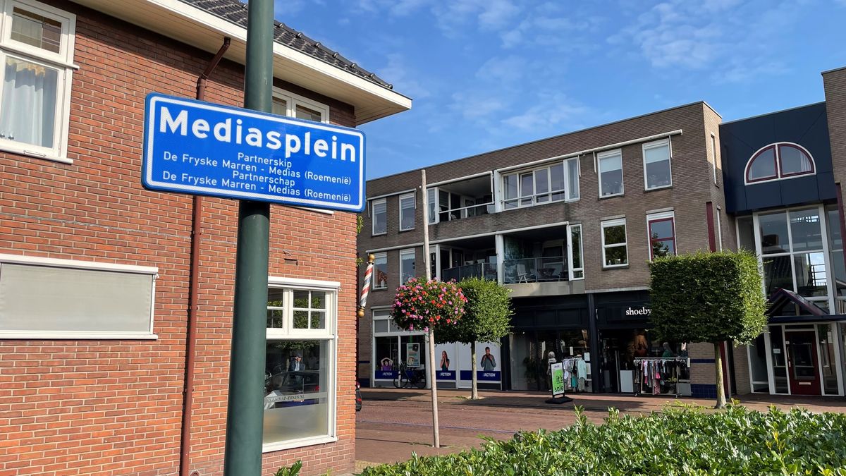 KAART: Kijk hier met welke buitenlandse plaatsen Friese gemeenten stedenbanden hebben