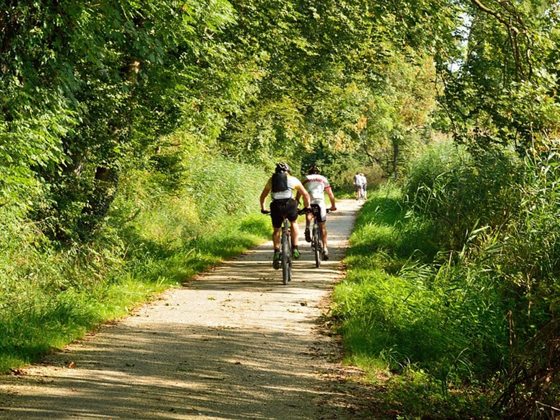 Rijnmond Fietst