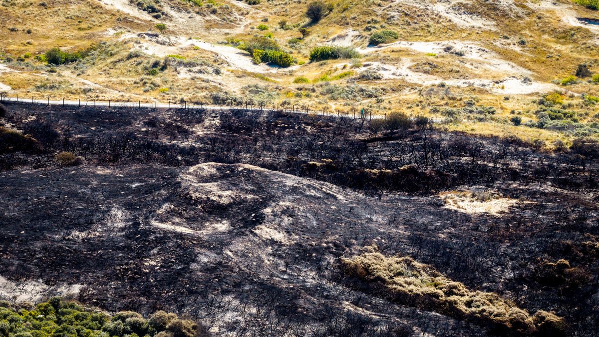 Na duinbrand zijn er zorgen bij verpleeghuis: 'Liggen er wakker van'