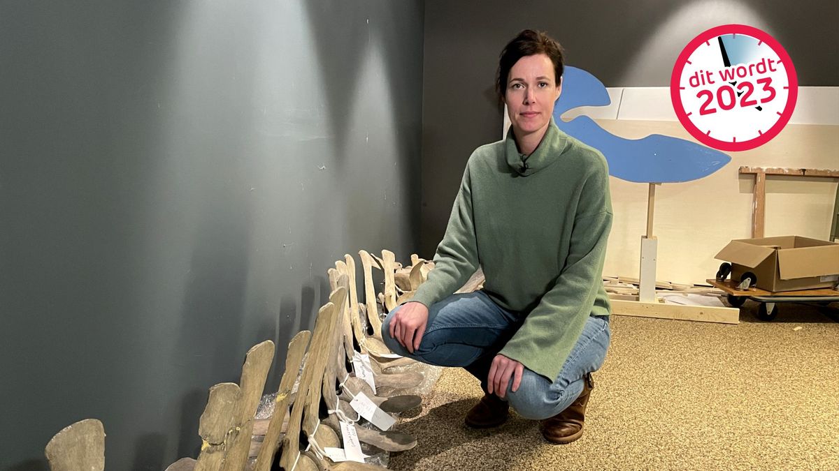 'Oog in oog met een walvis, dat verwacht je niet in Vledder'