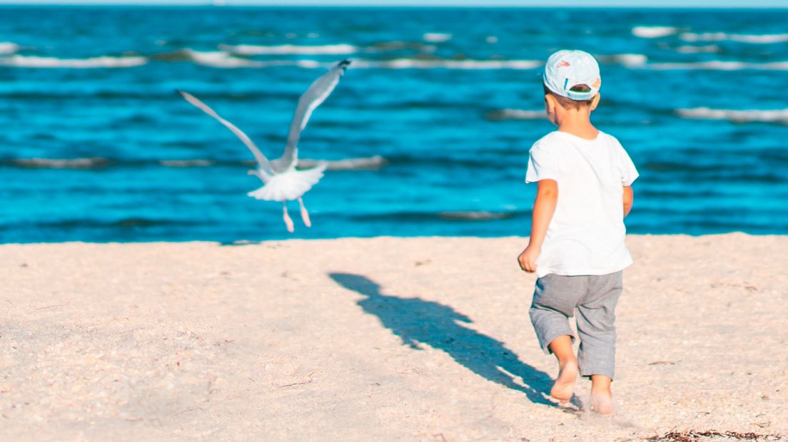 Foto ter illustratie: Alexandr Podvalny (Unsplash)